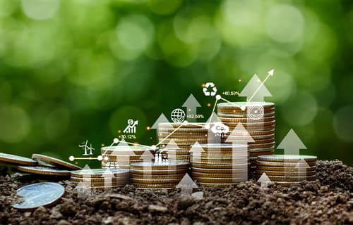 FD and Bonds Investment